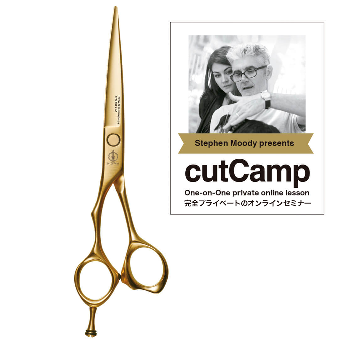 ACRO-S +Stephen Moody Model Satin Gold LEFTY (+cCCS) | ミズタニ