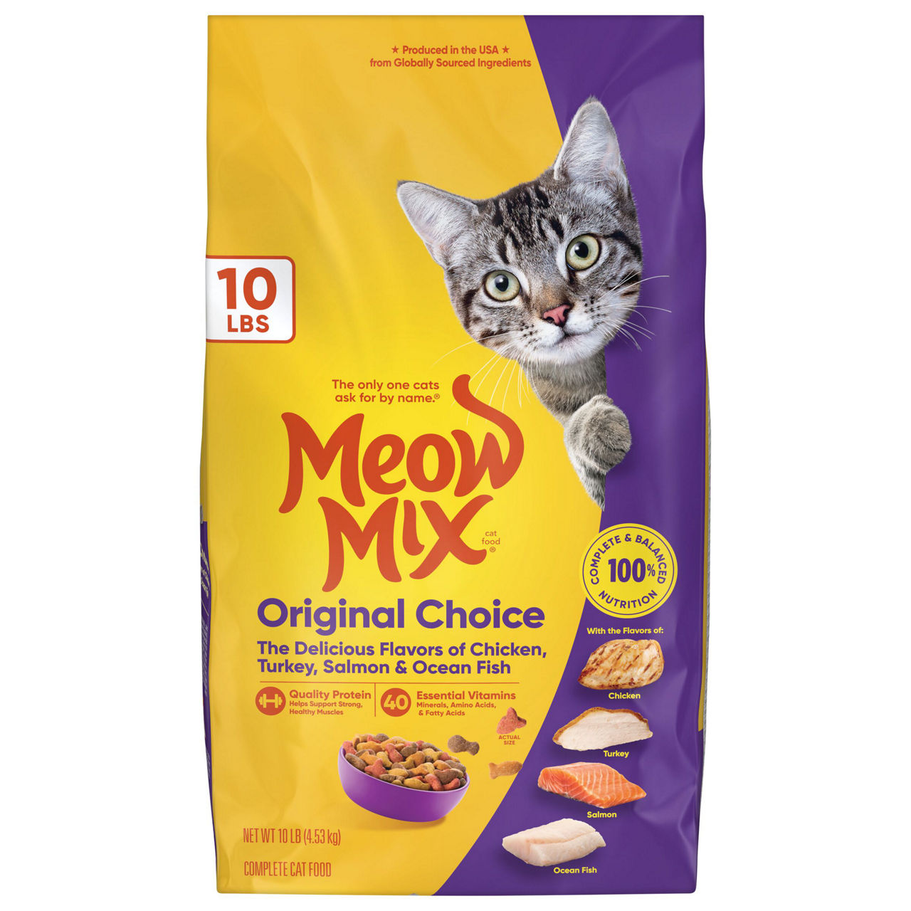 Buy Meow Mix Original Choice Dry Cat Food, 10 Pound Bag from