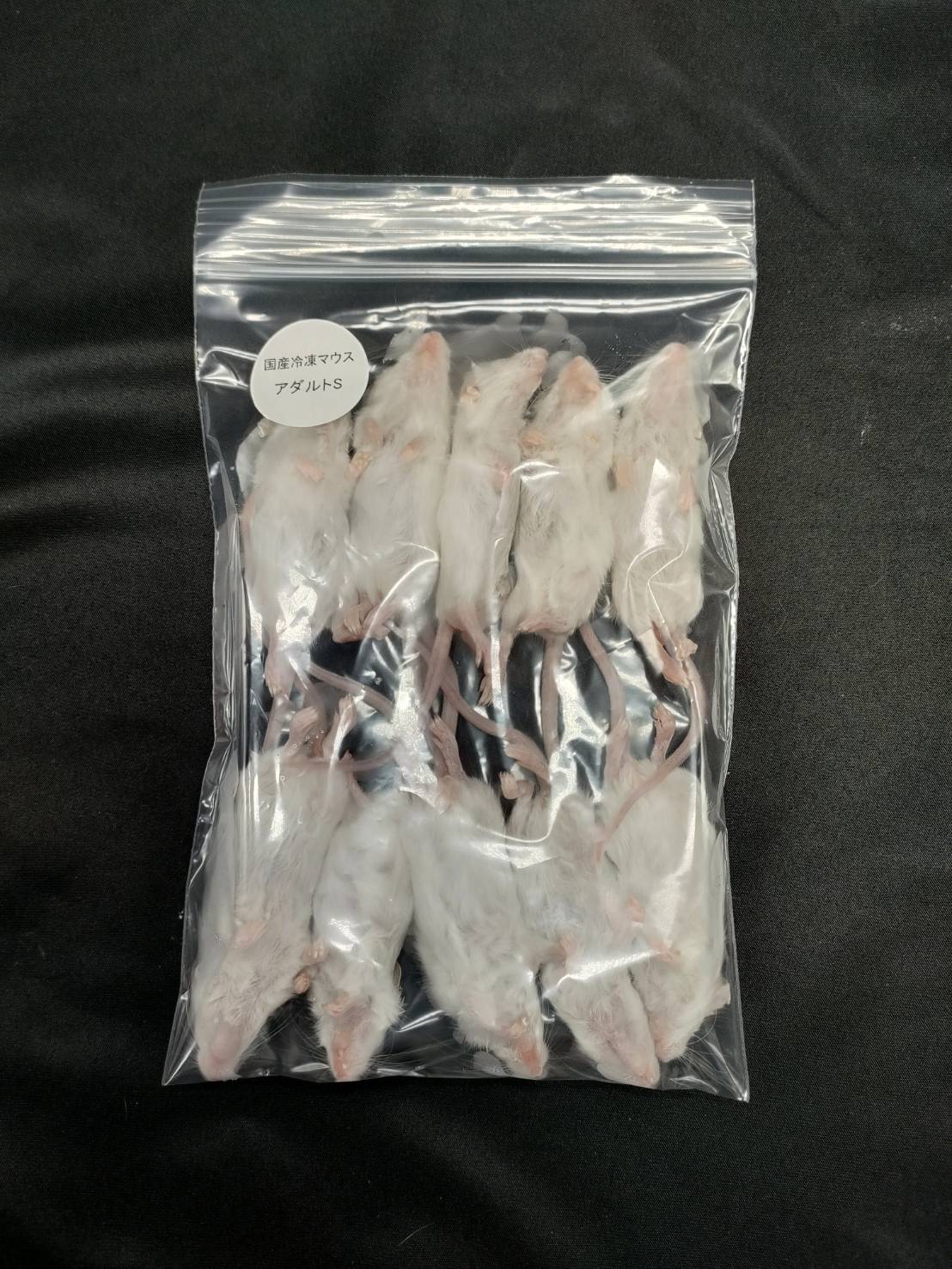 国産冷凍アダルトマウスS 10匹入り – サイエンスファーム