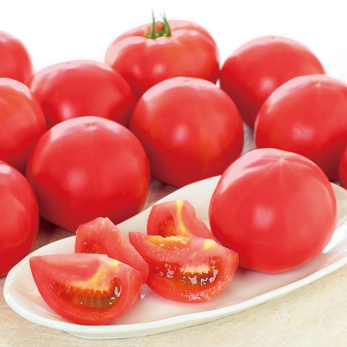 岐阜・中津川 トマト 麗夏｜種（タネ）,球根,苗,資材,ガーデニング