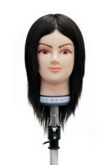 カットウィッグ・モデルウィッグ / 新品・中古理美容器具・インテリア