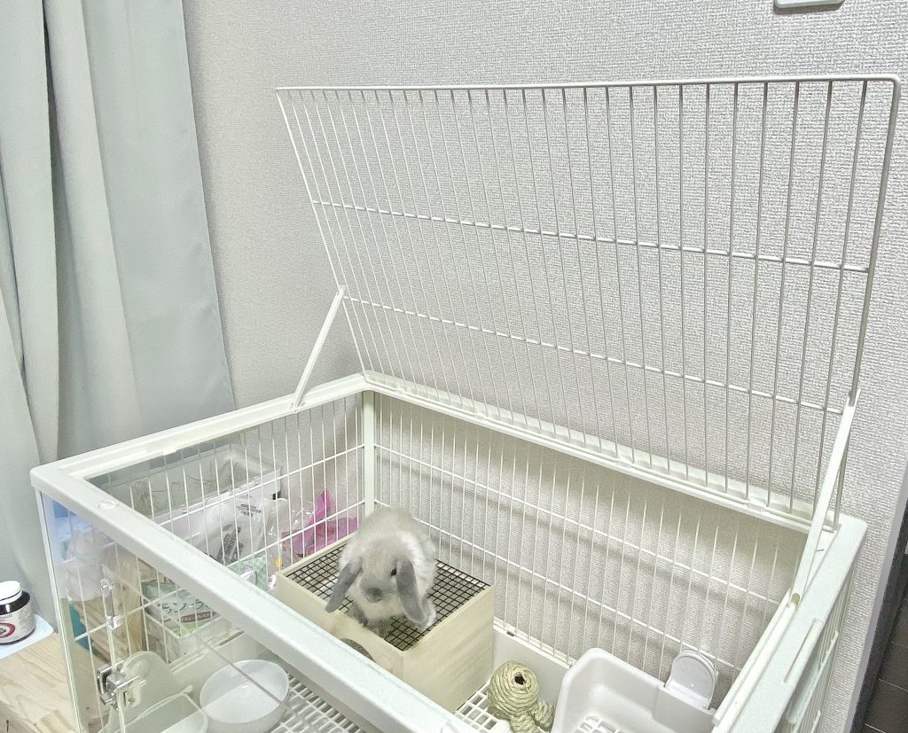GEX クリアフロント80 レビュー。うさぎさんのケージならこれ！ - さと