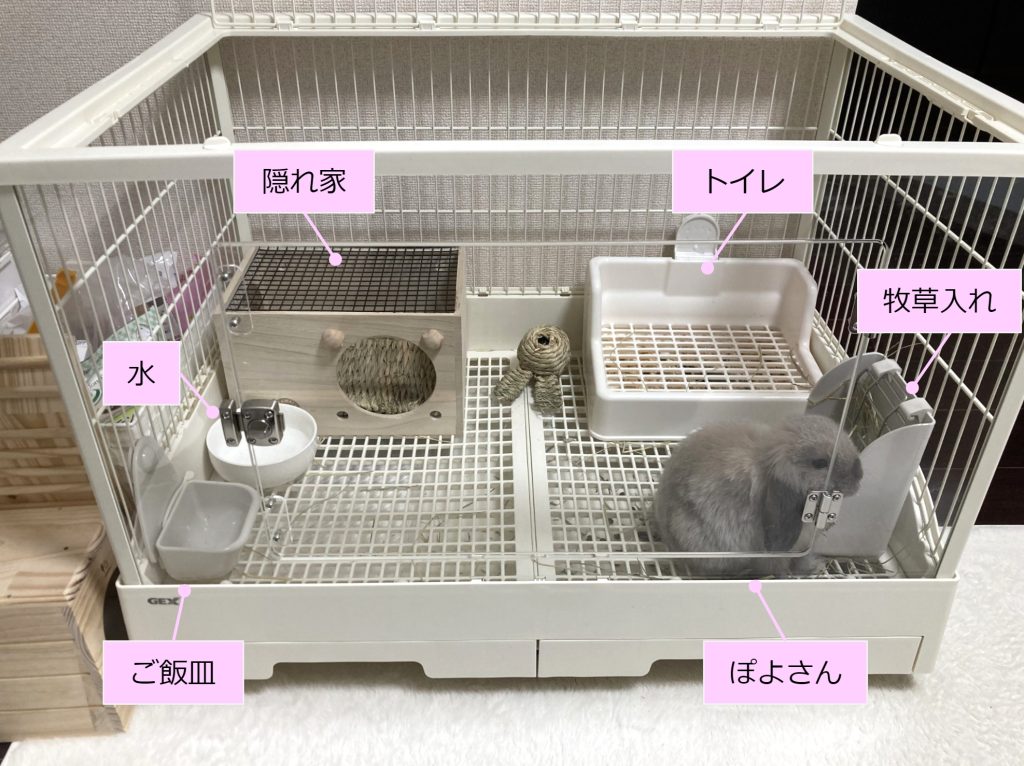 GEX クリアフロント80 レビュー。うさぎさんのケージならこれ！ - さと