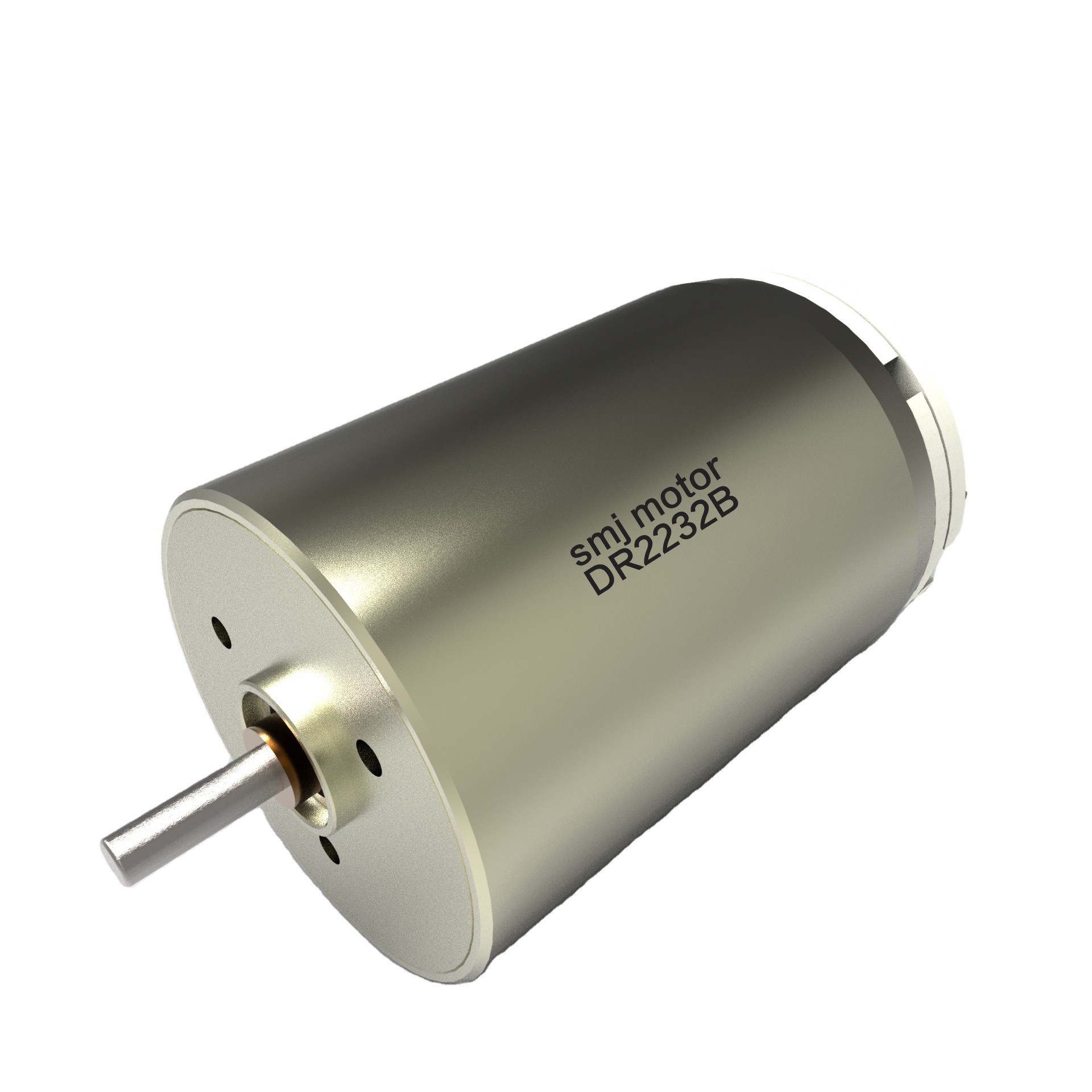 24V Japanese Brush Motor for Robotics - Maxon DC Motor with