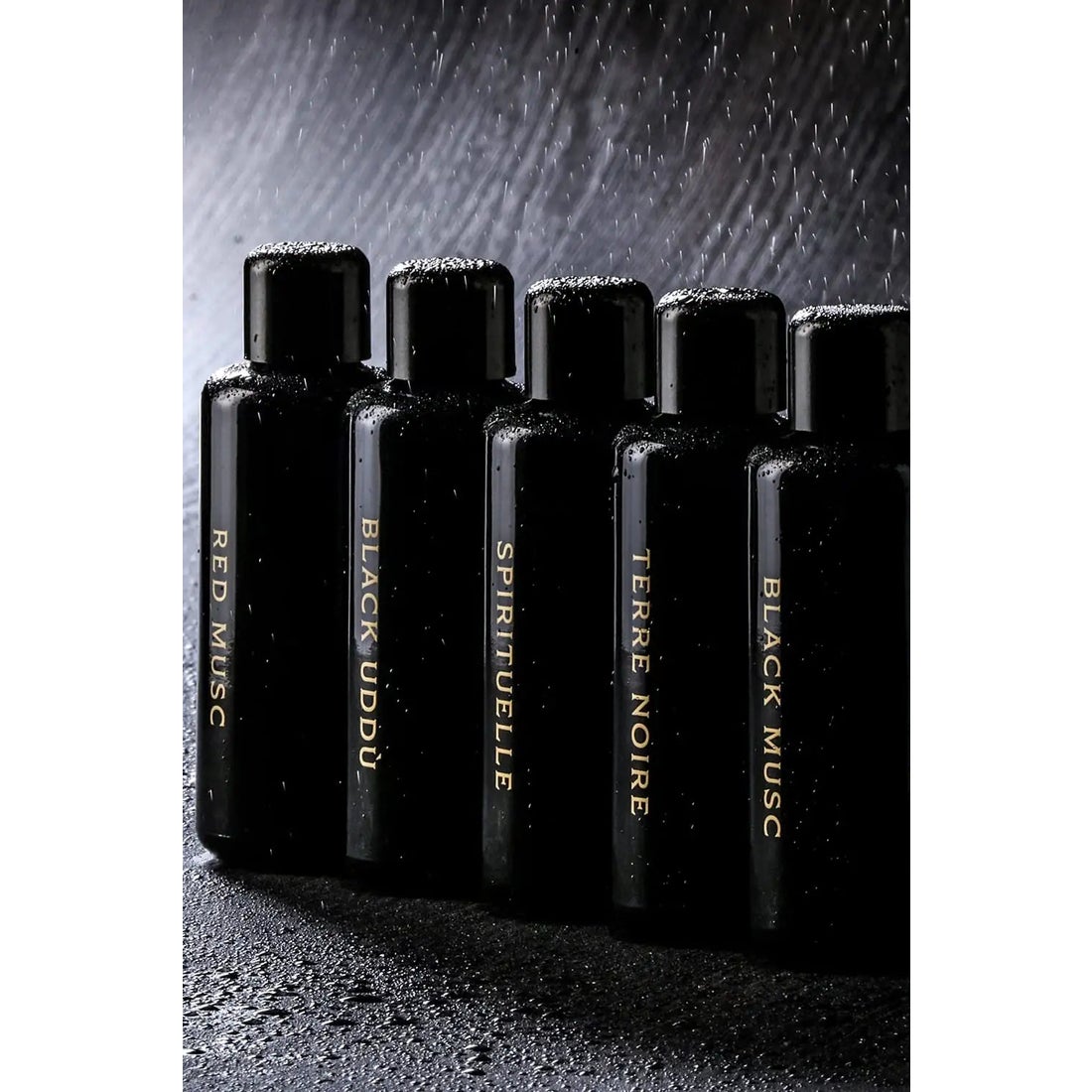 マドエレン MAD et LEN Terre Noire - 50ml Perfume (Eau de Parfum