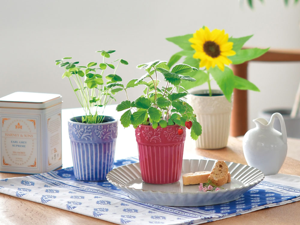 Grace Garden｜母の日ギフトにぴったり。