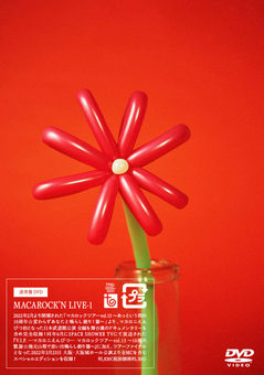 マカロニえんぴつ、初の歌詞集