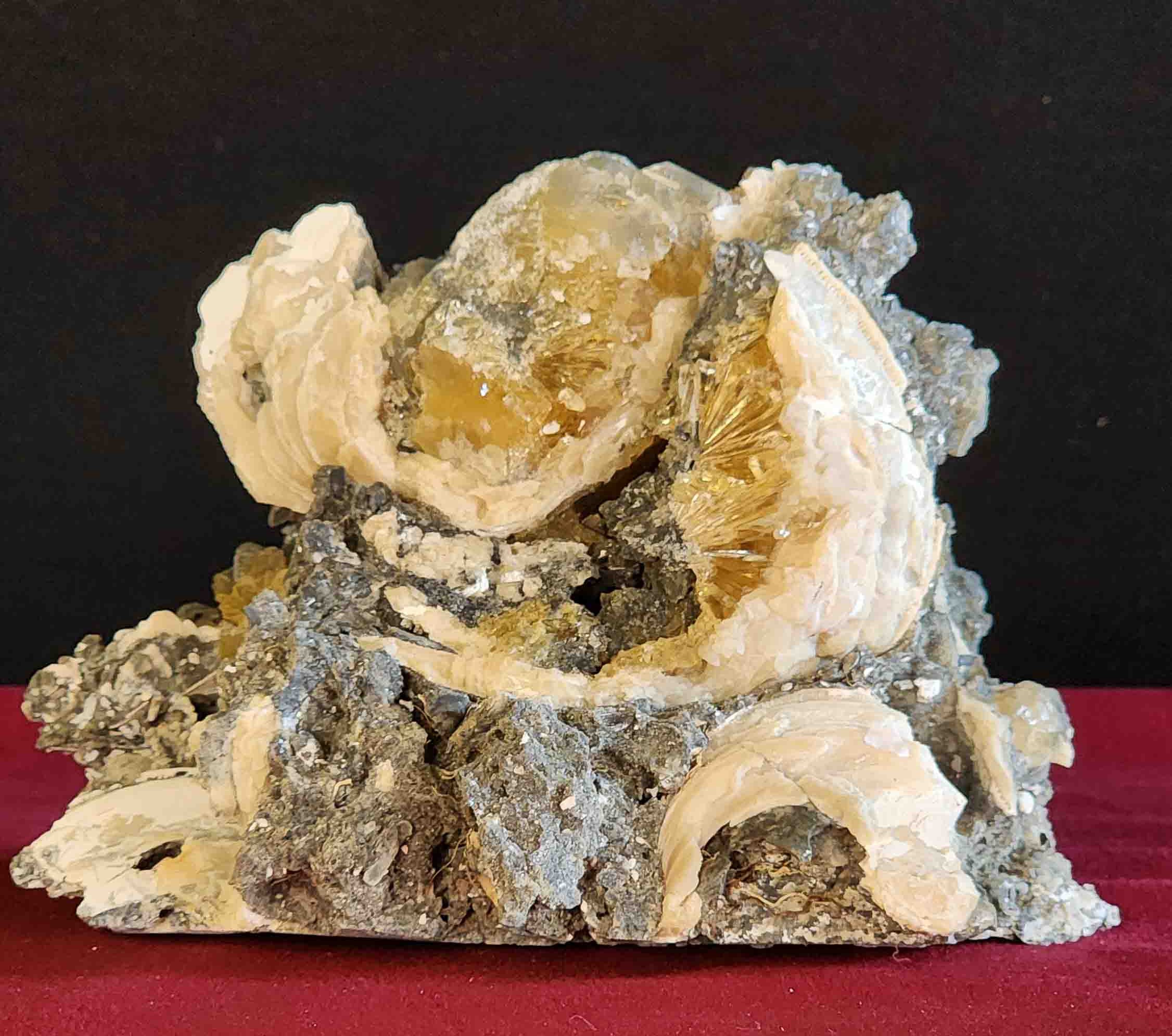 Crystalized Clam (OK5) – Pacific GeoLab