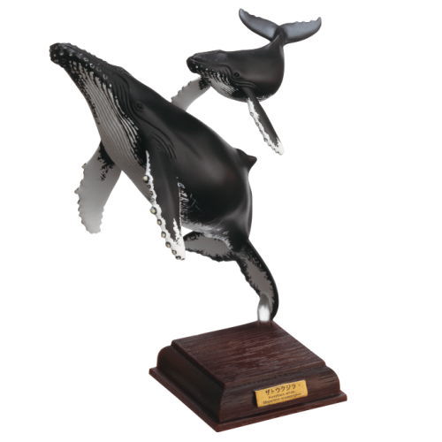 楽天市場】ネイチャーテクニカラー 小笠原 特装版 全6種セット【在庫品