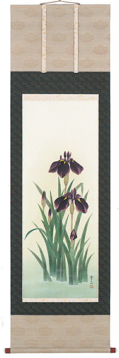 楽天市場】【掛け軸・掛軸】辰本青花『菖蒲』日本画□表装済み・新品