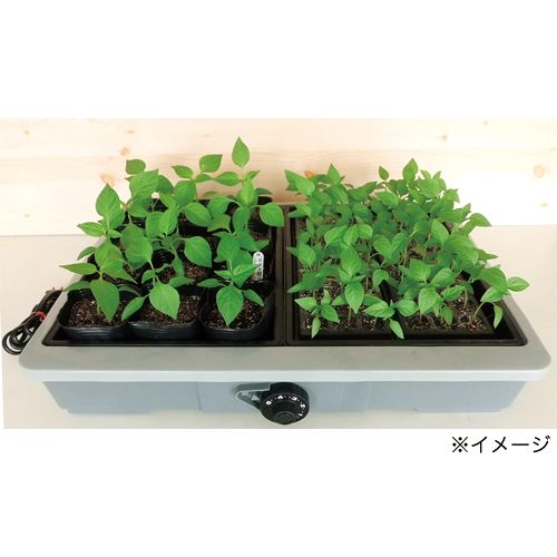 家庭用発芽・育苗器 愛菜花（サーモ内蔵）| 種・苗・ガーデニング用品