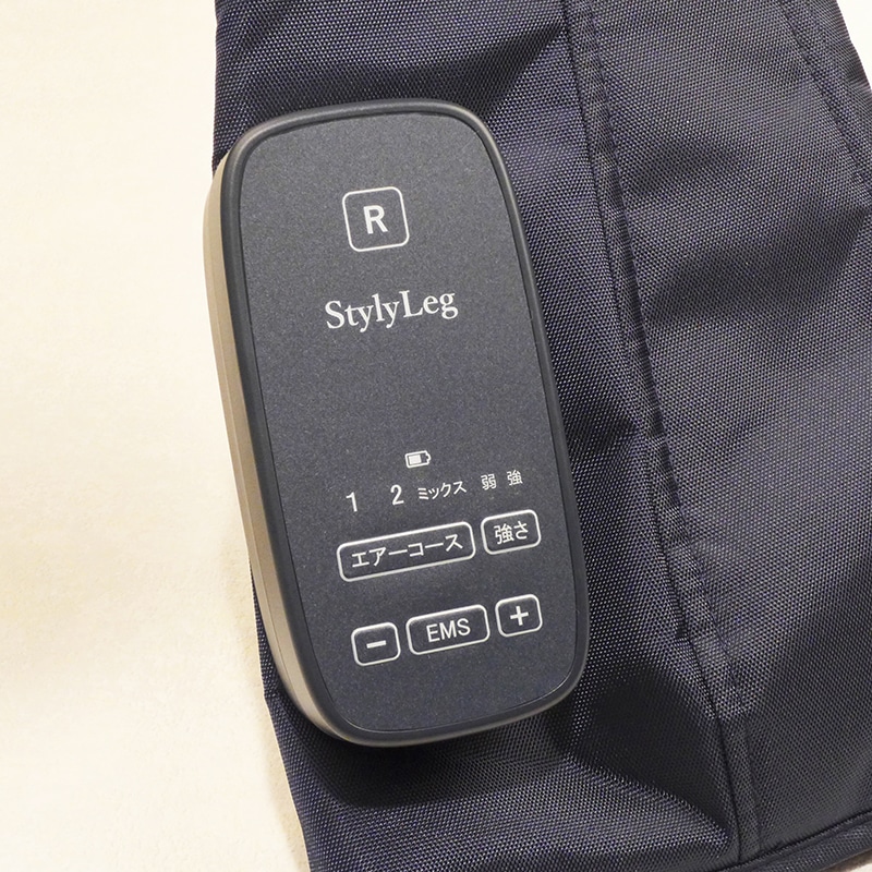 フィットネスクラブがつくったスタイリーレッグ(レッド): 美容・健康