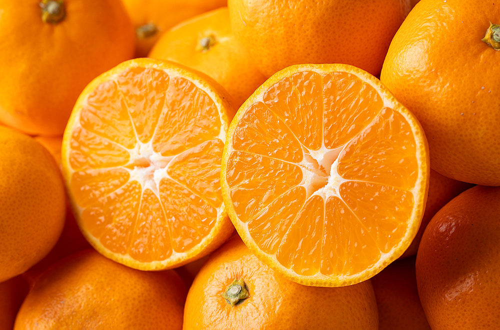 みかんの販売を開始しました！（山鹿 蔵出し 完熟みかん） ｜ 社方園