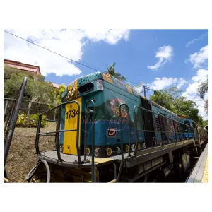 広角1.5倍ズーム PENTAX Q 08 WIDE ZOOM – Shige's hobby