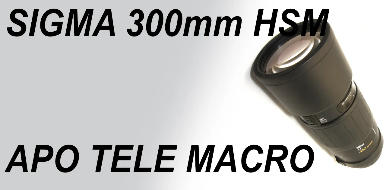 SIGMA APO TELE MACRO 300mm F4 HSM – Shige's hobby