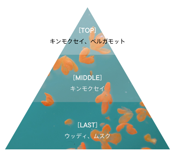 キンモクセイ オードパルファン | SHIROオフィシャルサイト