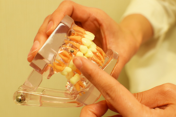 歯科矯正用アンカースクリューを使用した矯正治療 渋谷の矯正歯科