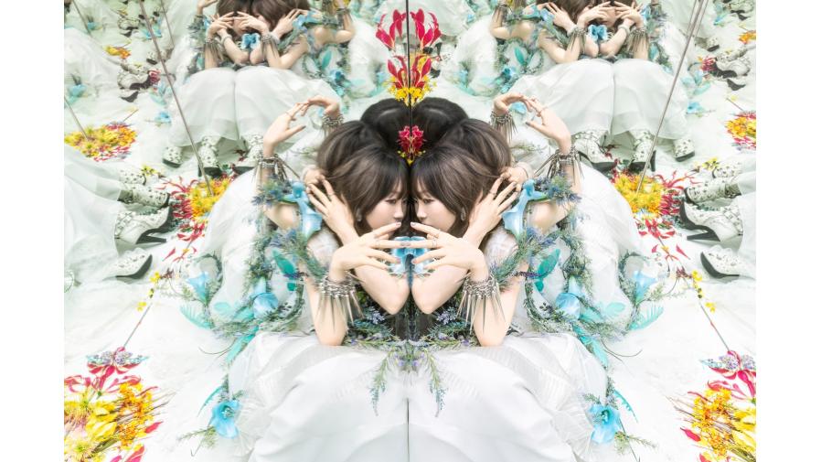 Aimer New Single『Pastoral／Little Bouquet』が11/12(水)に発売決定