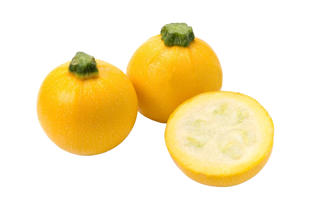 ズッキーニ - サン・フレッシュ グループ Sun Fresh -青果物フレッシュ