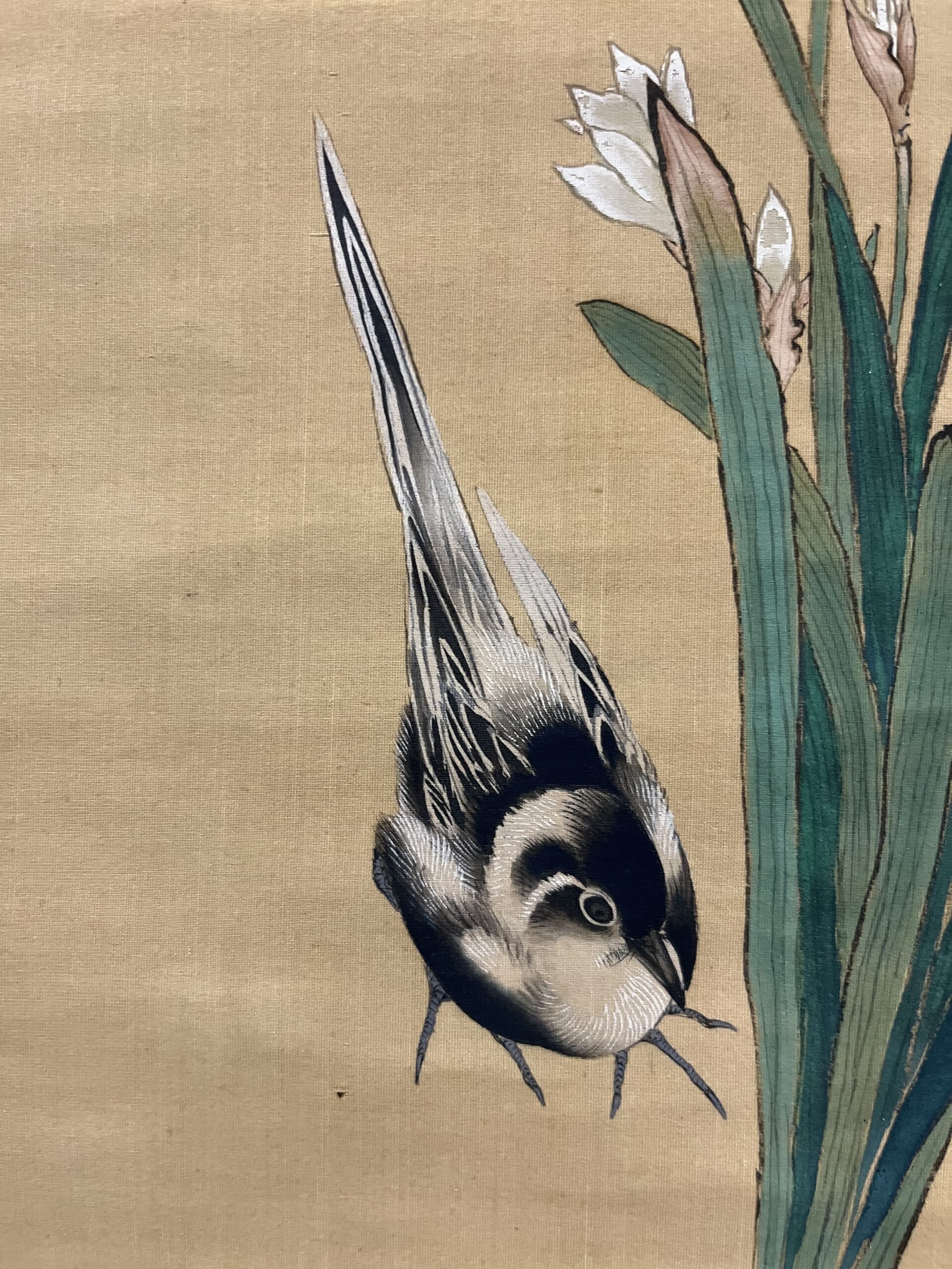 骨董水妖｜柳里恭筆 椿水仙に鶺鴒図