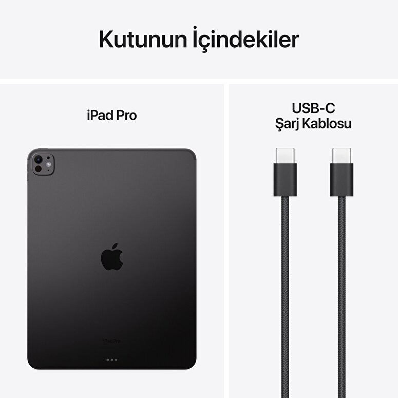 Apple 13 inç iPad Pro M4 WiFi 2TB Standard Cam Uzay Siyahı