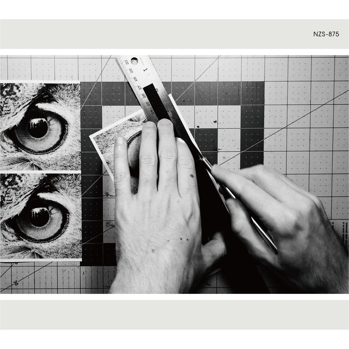 商品詳細ページ | sakanaction ONLINE STORE | 【NF member 完全生産