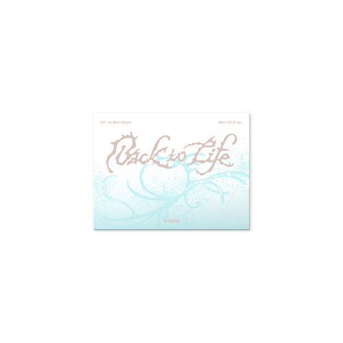 Back to Life Photocard Box (Mini CD-R ver.)【CD】 | &TEAM
