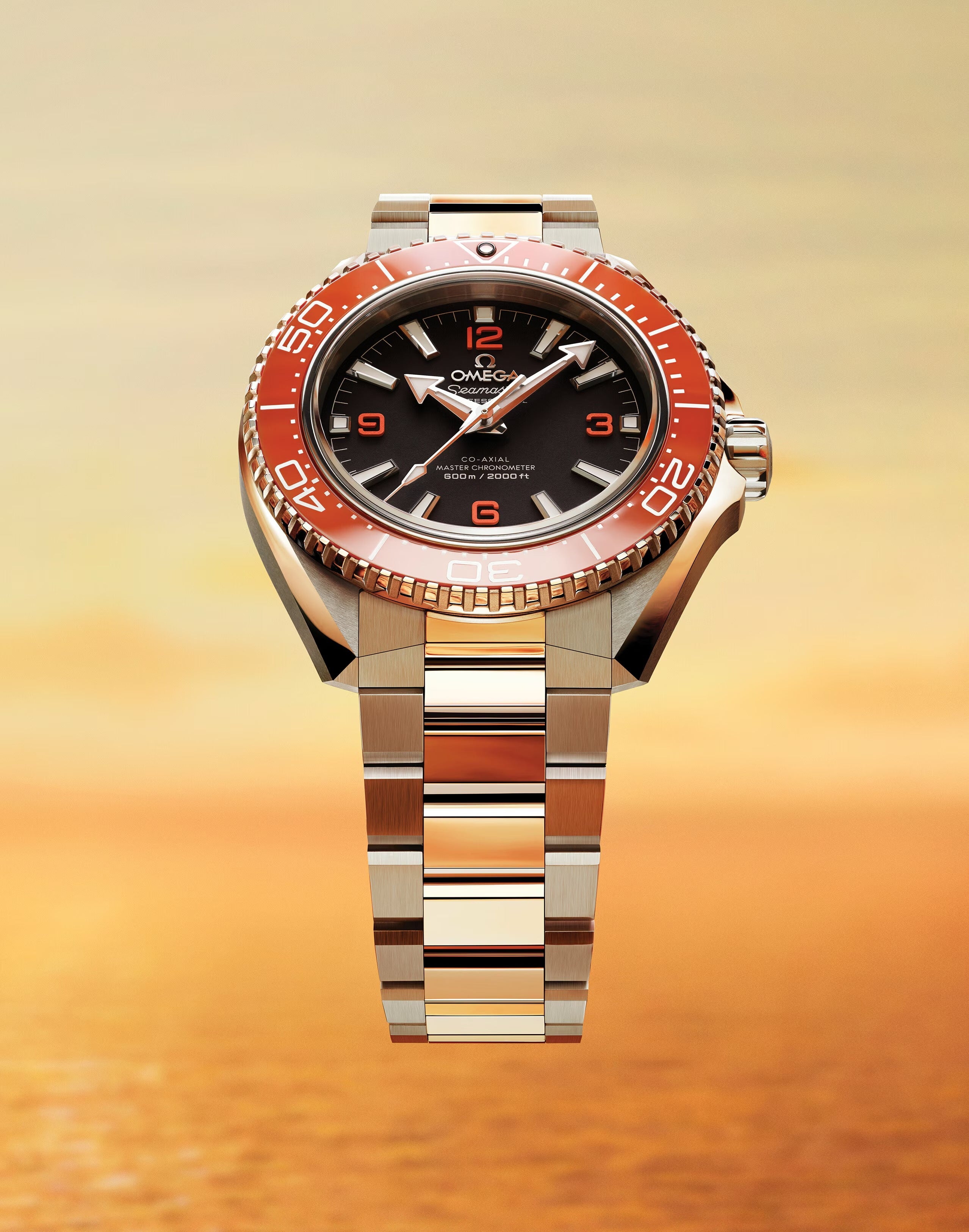 オメガ シーマスター プラネット オーシャン 600M 自動巻き 42mm