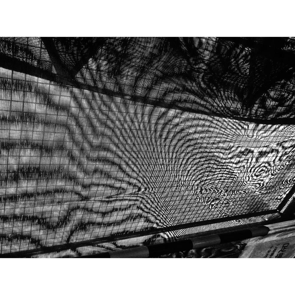 サイン入り】記録61号 森山大道 写真集 森山大道 -の商品詳細 | 蔦屋