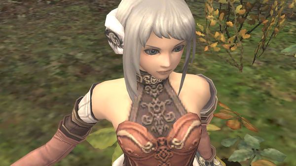 e-STORE専売】(PC)ファイナルファンタジーXI ヴァナ・ディール