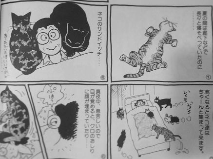 セツコ・山田/セツコ・山田の猫三昧 | Sinn本館