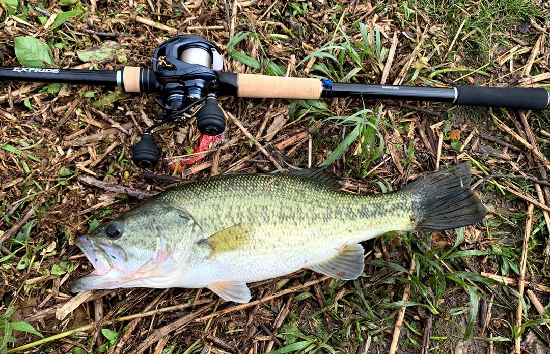 1911XH エクスプライド ^ ^ ヘビキャロ 遠投 に超絶最適ですね