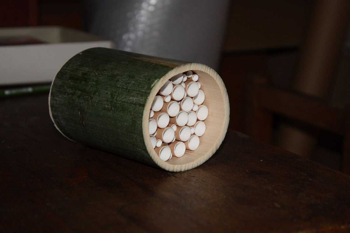 夏休みの工作に! 紙パックと紙ストローで作る「ハチのおうち