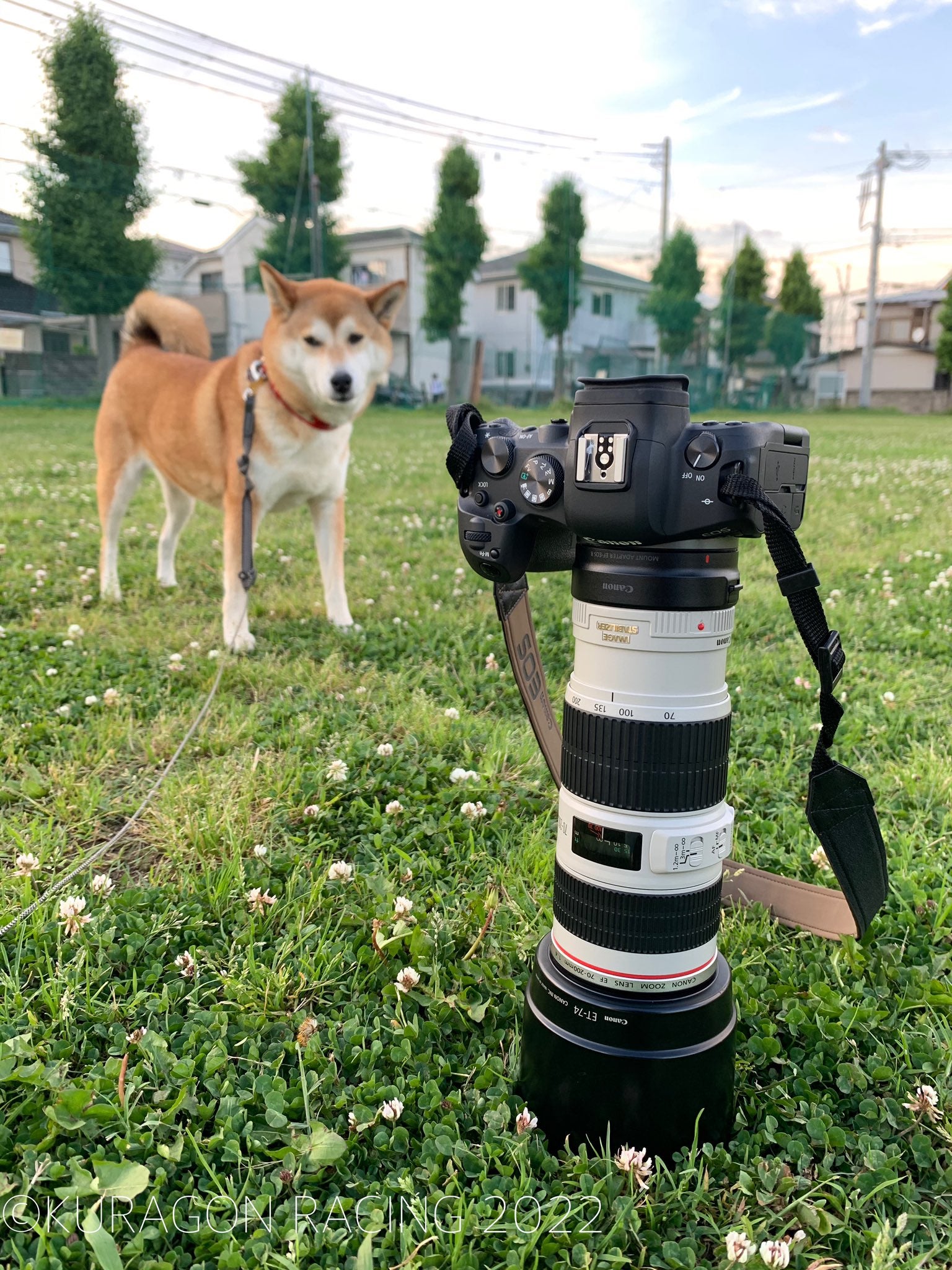 CANON EF70-200mm F4 L IS USM生えた | クラゴン親方のRacing