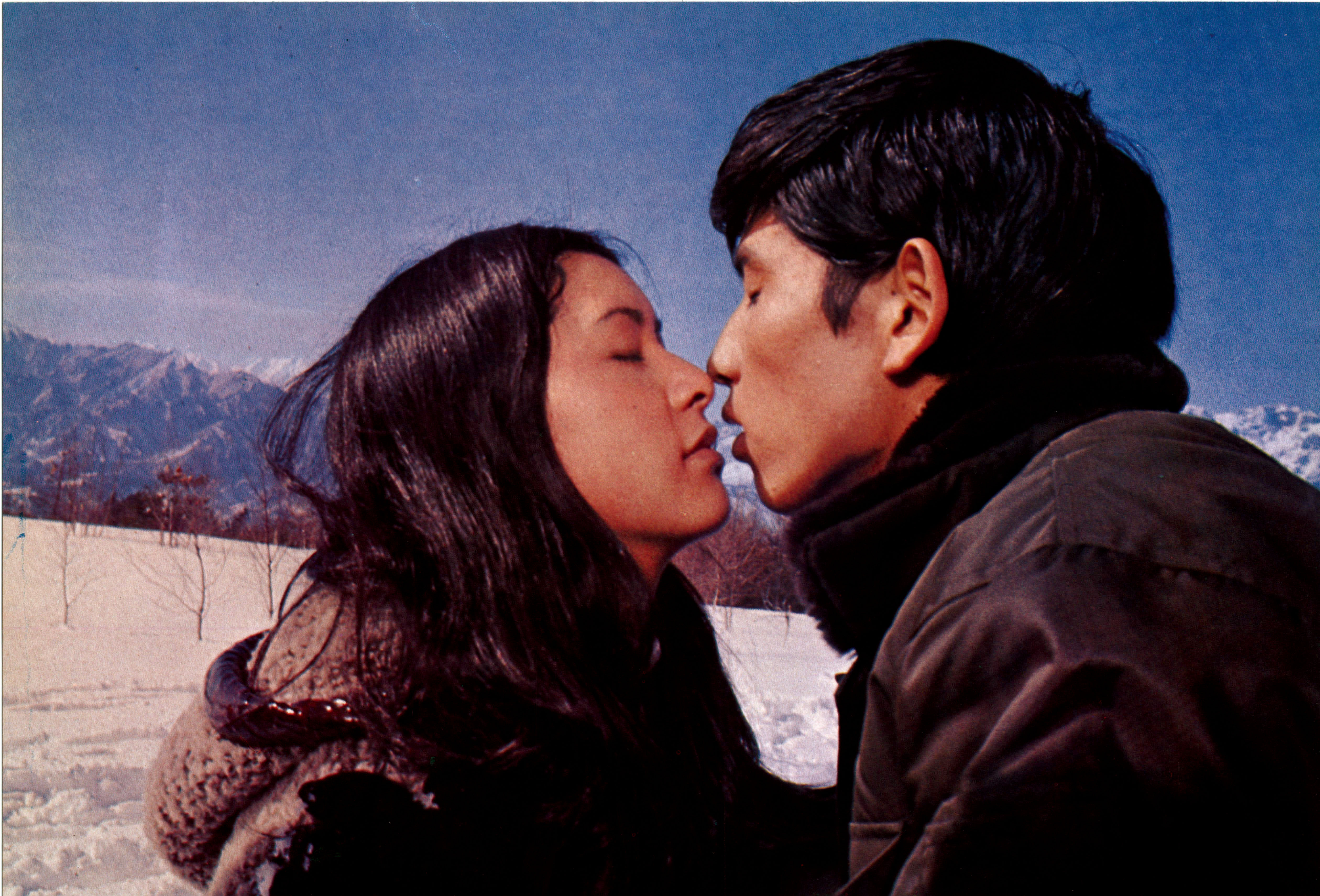 関根恵子 大映青春傑作選2 DVDBOX：映画・アニメ｜KADOKAWA