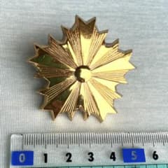 m50108333819_1.jpg?1748677240