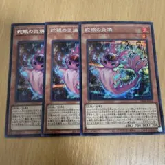 2026年最新】ポプルス 遊戯王の人気アイテム - メルカリ