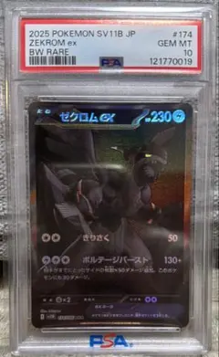 2026年最新】ゼクロム psa10 bwの人気アイテム - メルカリ
