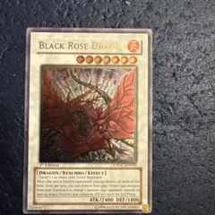 2026年最新】レリーフ ブラックローズドラゴンの人気アイテム - メルカリ