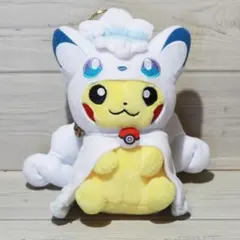 2026年最新】アローラロコンポンチョのピカチュウの人気アイテム