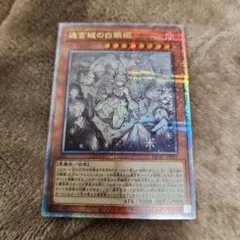 2026年最新】迷宮城の白銀姫 イラスト違いの人気アイテム - メルカリ