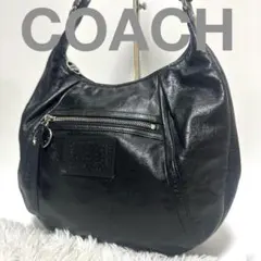2026年最新】COACH_ポピーの人気アイテム - メルカリ