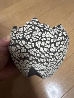 2026年最新】fang konectの人気アイテム - メルカリ