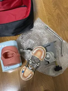 2026年最新】マネキン 歯科の人気アイテム - メルカリ