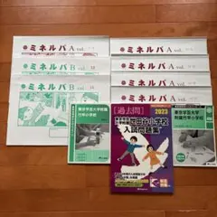 2026年最新】チャイルドアイズ ミネルバの人気アイテム - メルカリ