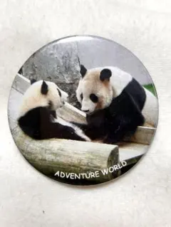 2026年最新】アドベンチャーワールドパンダの人気アイテム - メルカリ