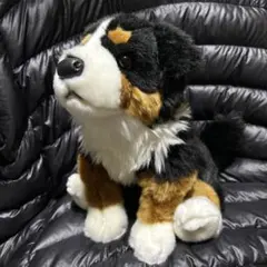 2026年最新】ぬいぐるみ 犬 バーニーズの人気アイテム - メルカリ