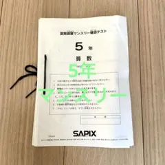 2026年最新】Sapix 5年 夏期講習の人気アイテム - メルカリ