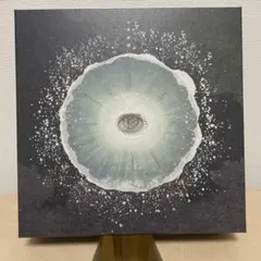 2026年最新】siip 完全生産限定の人気アイテム - メルカリ