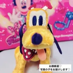 2026年最新】ぬいば パルパル ミニーの人気アイテム - メルカリ